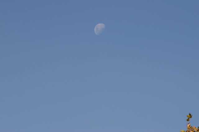 img_0977.jpg
