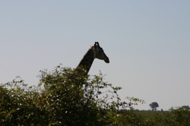 img_0487.jpg