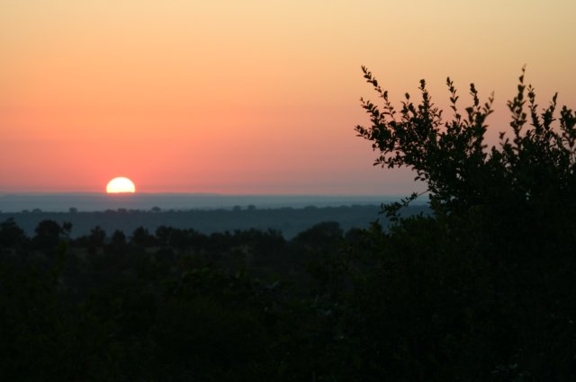 img_06942.jpg