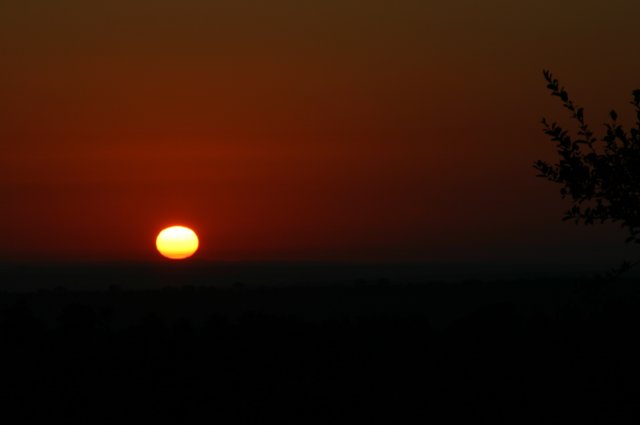 img_0699.jpg